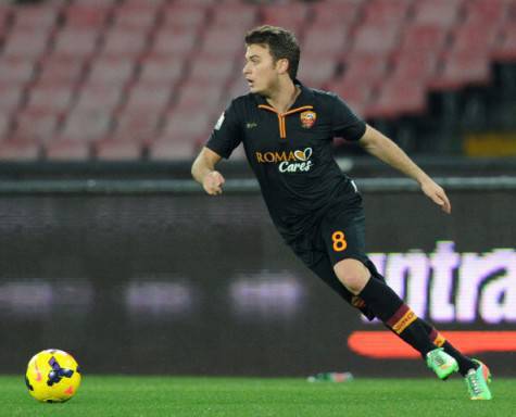 Adem Ljajic