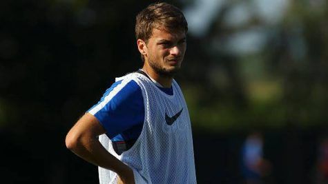 Adem Ljajic