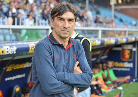 Juric, attuale tecnico del Genoa (Getty Images)