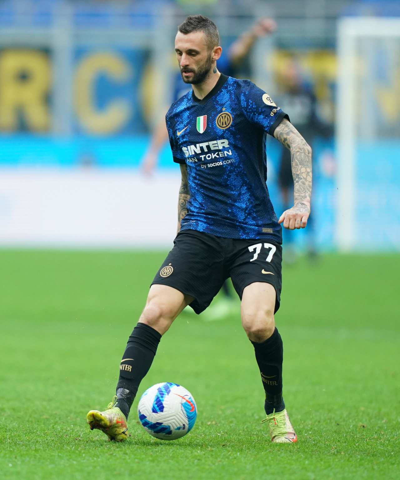 brozovic