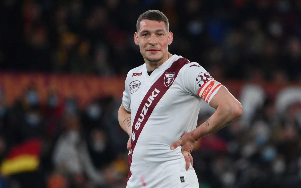 Belotti 