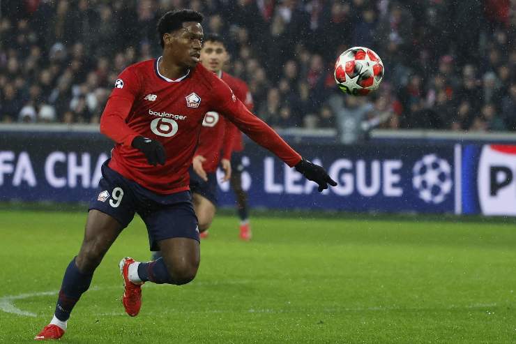 Jonathan David in campo con il Lille in Champions League