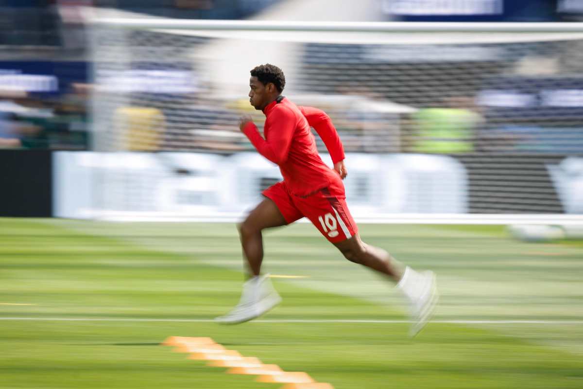 David in allenamento