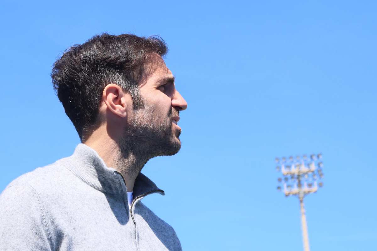 Fabregas 