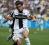 Leoni in campo