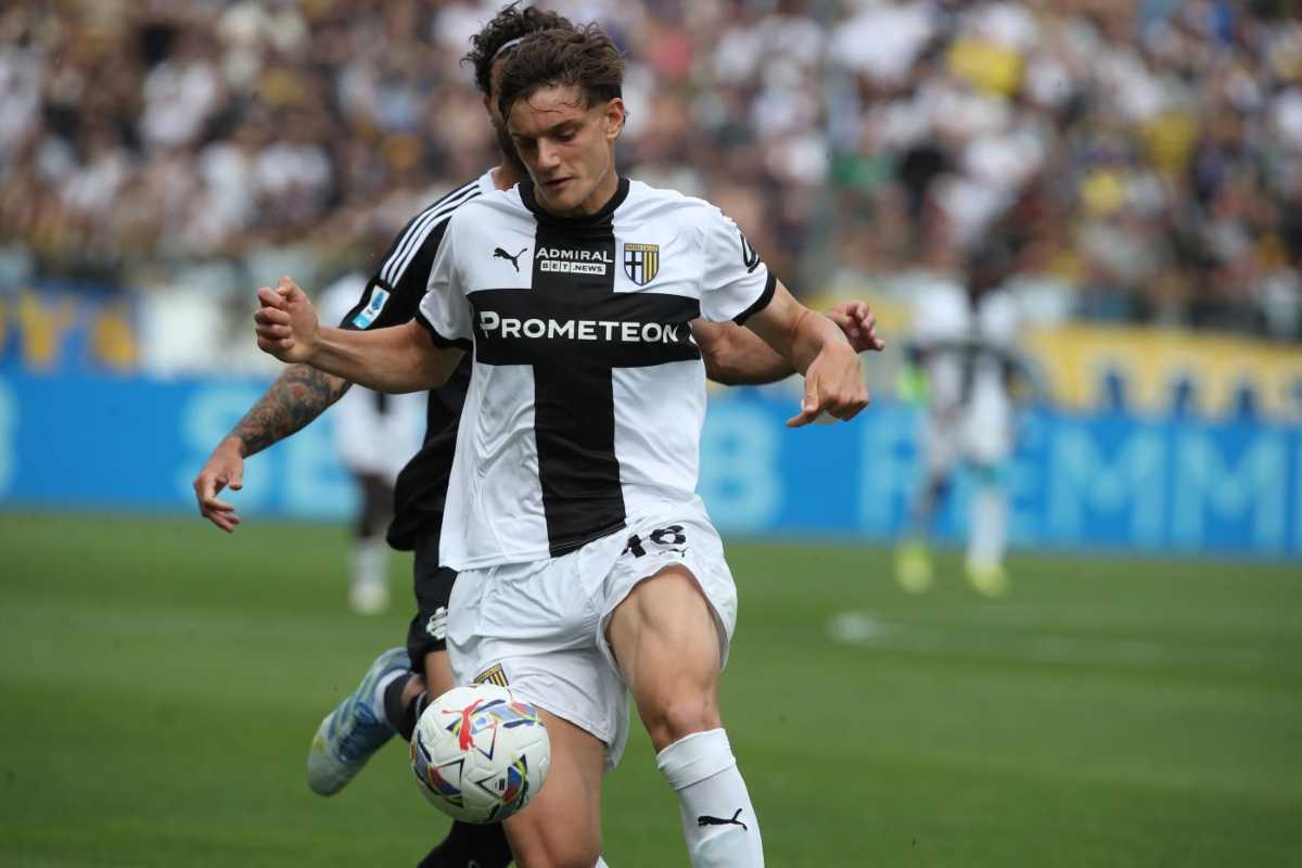 Leoni in campo