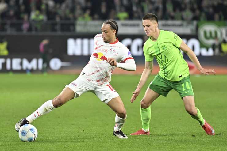 Dardai in azione