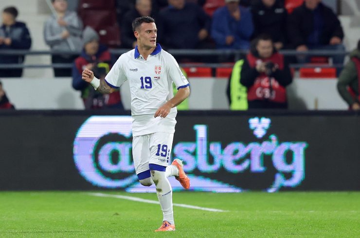 Stankovic esulta dopo il gol con la Serbia